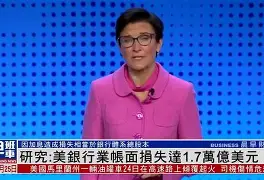 MATIC突然面临安全漏洞，损失达到213万美元